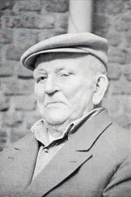 Tajje 100