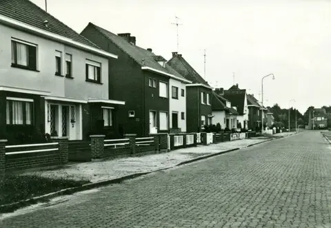 Goudenregenlaan 1965 in de Antwerpsesteenweg (1965)