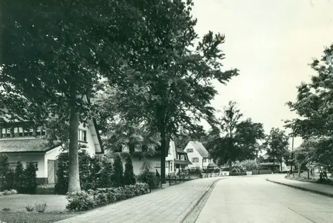 Zilverenhoeklaan 1961 in de Antwerpsesteenweg (1961)