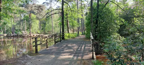 De Uitlegger 5