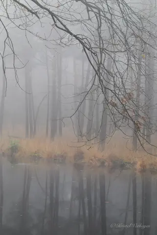 De Uitlegger 8