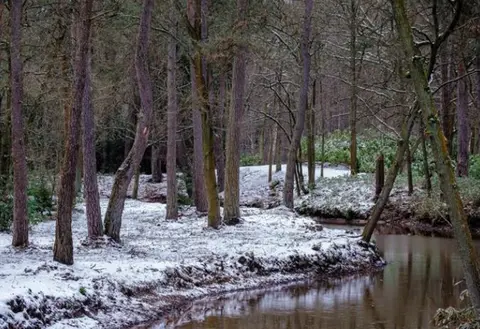 Uitlegger