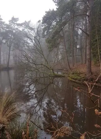 Uitlegger