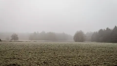 Uitlegger