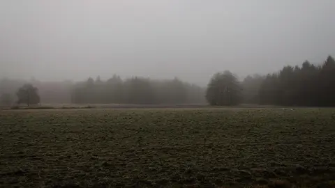 Uitlegger