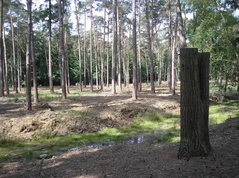 Uitlegger