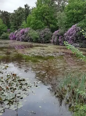 Uitlegger