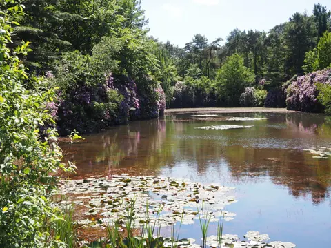 Uitlegger