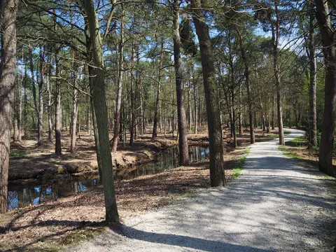 Uitlegger