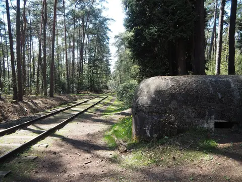 Uitlegger