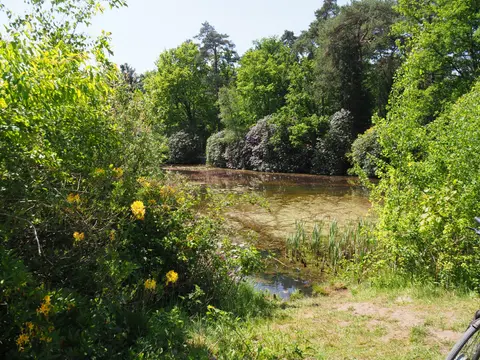 Uitlegger