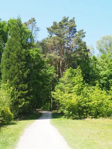 Uitlegger
