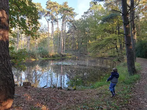 Uitlegger