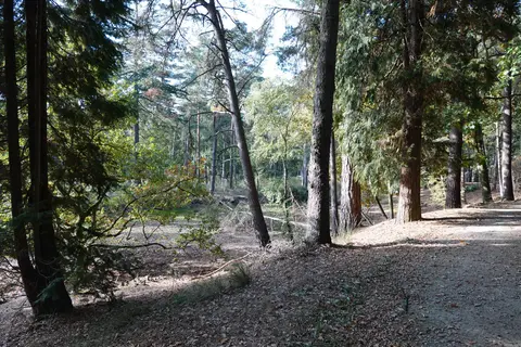 Uitlegger
