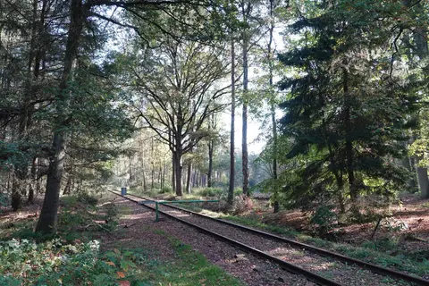 Uitlegger