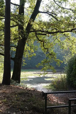 Uitlegger