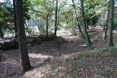 Uitlegger