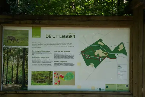 Uitlegger
