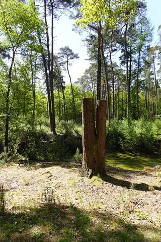 Uitlegger