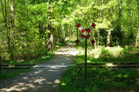 Uitlegger