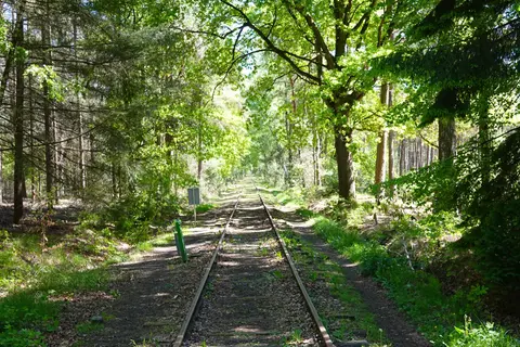 Uitlegger