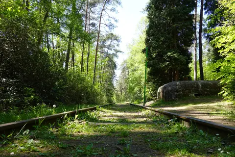 Uitlegger