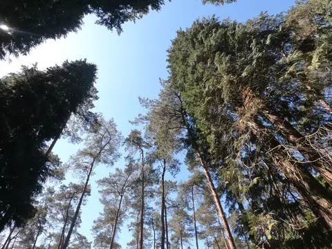 Uitlegger