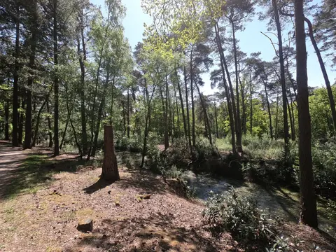 Uitlegger