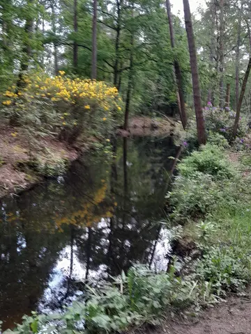 Uitlegger 2