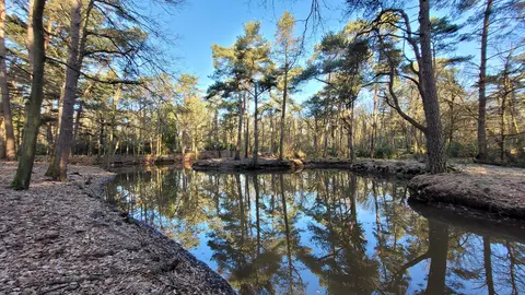 Uitlegger 4