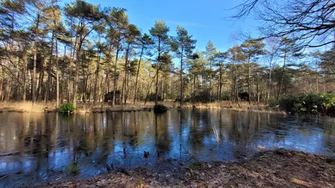 Uitlegger 8