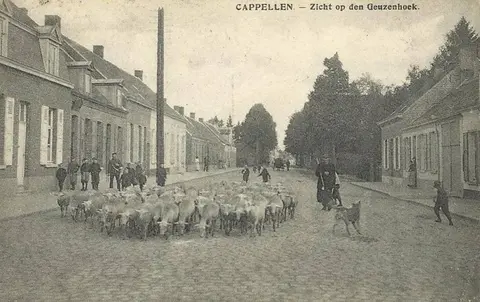 Geuzenhoek in de Dorpsstraat
