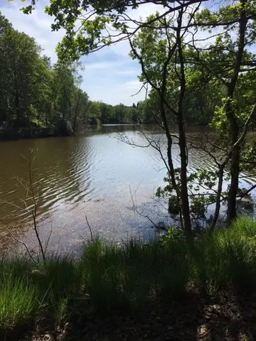 Ertbrandbos