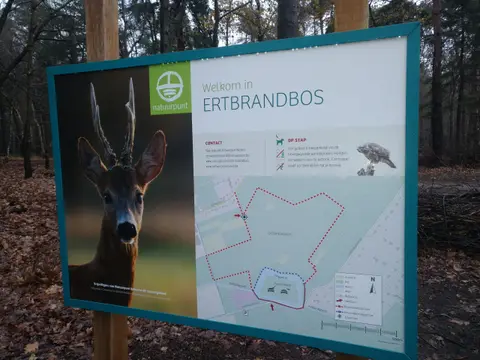 Ertbrandbos - Bord