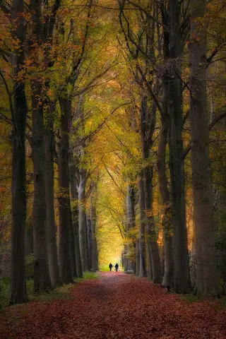 Ertbrandbos