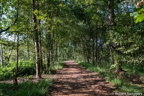 Ertbrandbos 10