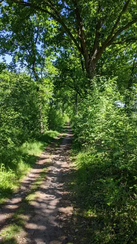 Ertbrandbos 2