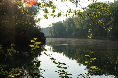 Ertbrandbos 2