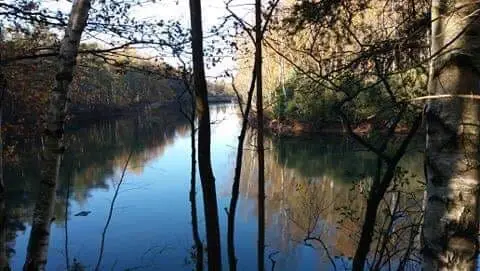 Ertbrandbos 3