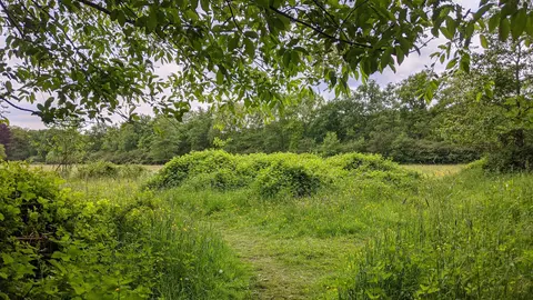 Ertbrandbos 3