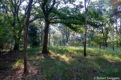 Ertbrandbos 3