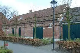 Essenhoutstraat - Erfgoedcentrum - Hoeve Van Paesschen - Nieuwsblad in de Essenhoutstraat