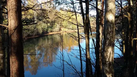 Ertbrandbos 2
