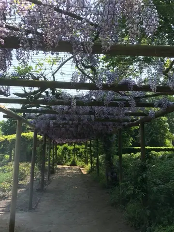 Gemeentepark