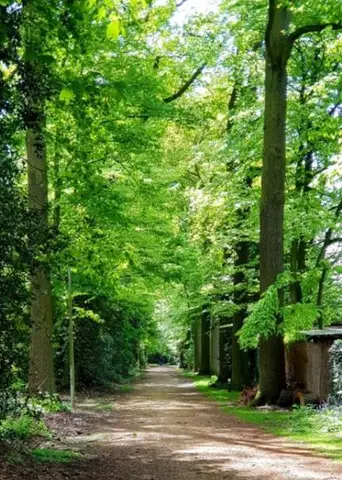 Gemeentepark