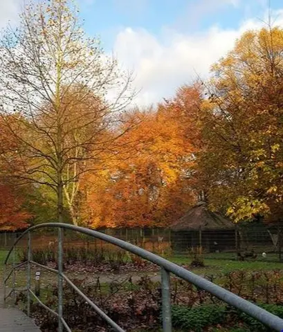 Gemeentepark