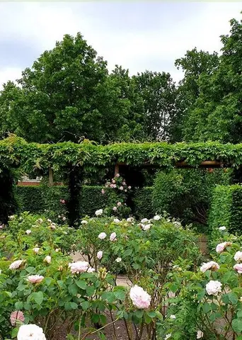 Gemeentepark