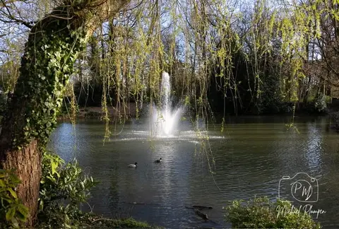 Gemeentepark