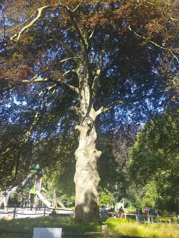 Gemeentepark
