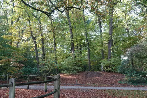 Gemeentepark